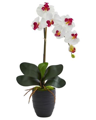 Nearly Natural Phalaenopsis Orchid Artificial Arrangement In Ceramic Black Vase