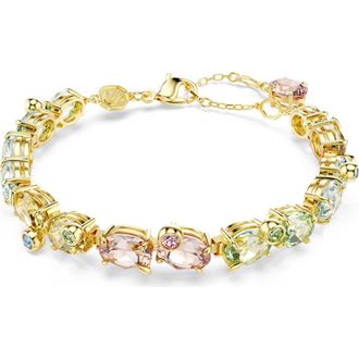 Swarovski Gema Crystal Bracelet in Multi at Nordstrom, Size Medium