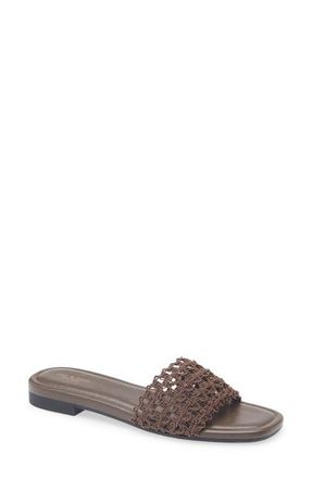 Rag & Bone Ellie Slide Sandal in Dark Mocha Mesh at Nordstrom, Size 10.5Us