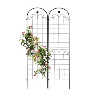 Relaxdays Soportes Para Plantas, Set De 2, 180 X 50 Cm, Metal, Enrejado Para Trepadoras, Aut&oacute;nomos, Con Estacas, Negro - Relaxdays