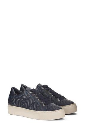 AGL Alisa Leather Sneaker in Night at Nordstrom Rack, Size 7.5Us / 37.5Eu