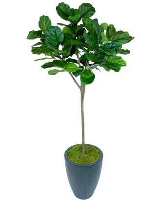 Creative Displays Inc. 7 Fiddle Leaf Tree In A Grey Fiberstone Pot