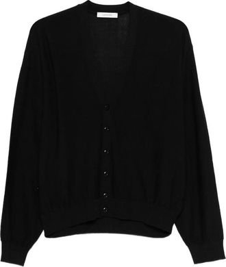 Christophe Lemaire Buttoned V-neck Cardigan