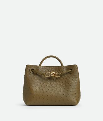 Bottega Veneta Small Andiamo - Bottega Veneta