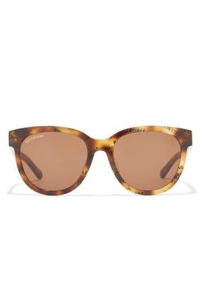 Balenciaga 54mm Round Sunglasses in Havana Havana Brown at Nordstrom Rack