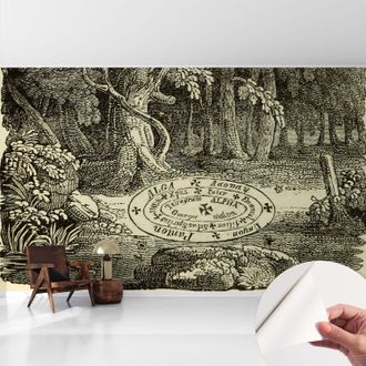Tulup Carta Da Parati Autoadesiva - Fotomurale Adesivo - Soggiorno Moderno - Resistente - Cerchio Magico 416x254 Cm