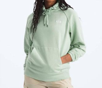 The North Face Womens Evolution Hoodie In Misty Sage