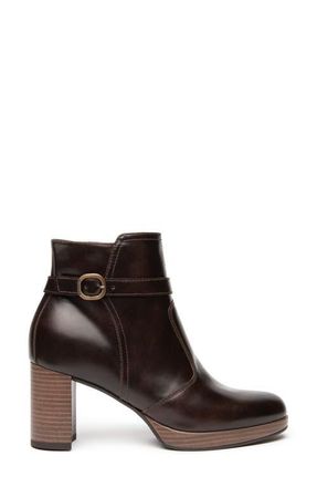 Nero Giardini Platform Bootie in Chocolate at Nordstrom, Size 7Us