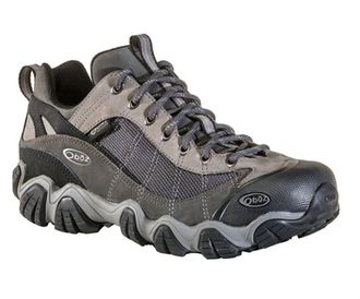 Oboz Footwear Mens Firebrand Ii Low Waterproof Hiking Shoe In Gray