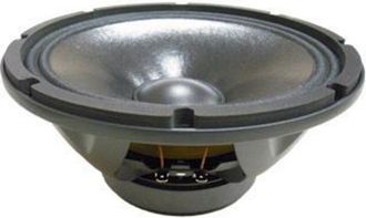 Nike Altavoz 10in 300waes Graves/medios 10wr300