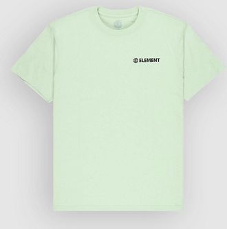 Element Blazin Chest T-Shirt gr&uuml;n