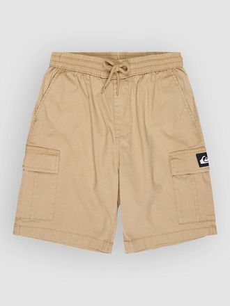 Quiksilver Taxer Cargo Kids Korte Broek bruin