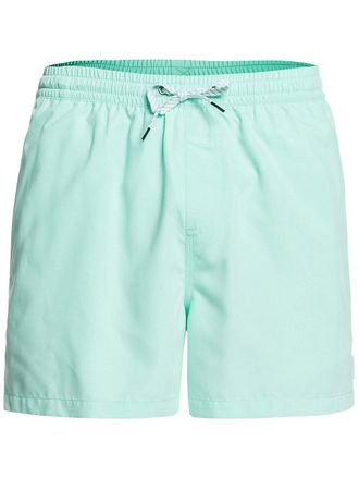 Quiksilver Everyday Volley 15 Boardshorts patroon