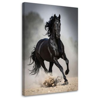 Feeby Impresi&oacute;n De Imagen, Caballo Negro Galopando Naturaleza, 70x100