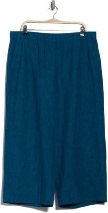 Eileen Fisher Organic Linen Crop Wide Leg Pants in Hudson at Nordstrom Rack, Size Xx-Small