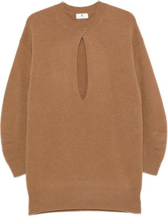 Elisabetta Franchi Brown Knitted Crew Neck Mini Dress