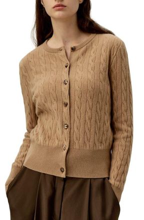 LilySilk Cable-Knit Cashmere Crewneck Cardigan in Camel at Nordstrom, Size Medium