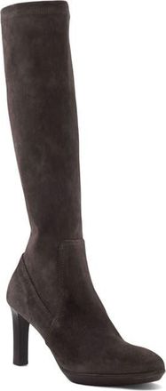 Aquatalia Rhumba Weatherproof Knee High Boot in Anthracite Suede at Nordstrom, Size 10.5
