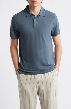Alex Crane Organic Cotton Polo in Lake at Nordstrom, Size Xx-Large