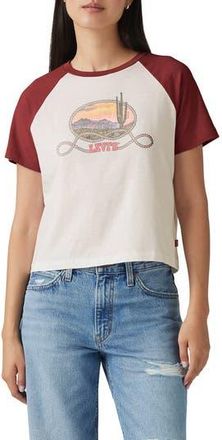 Levi's Gameday Cotton Graphic T-Shirt in Western Archival Cactus at Nordstrom Rack, Size X-Small