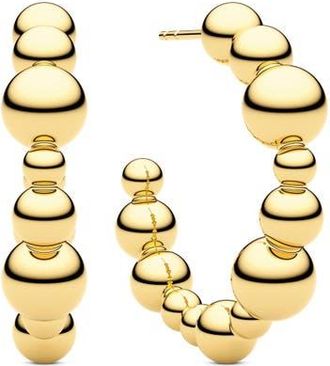 Sif Jakobs Jewellery Earrings Bormio Circolo in 18K Gold Plated at Nordstrom