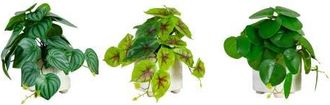 Nearly Natural 8-in Artificial Mixed Greens in Ceramic Planter- Set of 3 at Nordstrom
