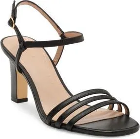 Cole Haan Michelina Strappy Sandal in Black Leather at Nordstrom Rack, Size 6.5