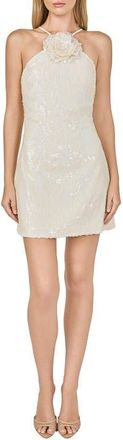 endless rose Floral Appliqu&eacute; Sequin Sheath Minidress in Cream at Nordstrom, Size X-Small