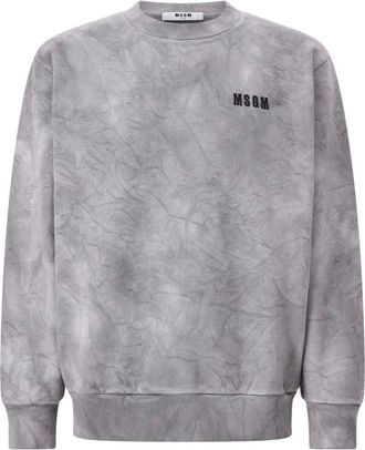 Msgm Msgm, Hoodies & sweatvesten, Heren, Grijs, S, Logo Sweatshirt met Vintage Look