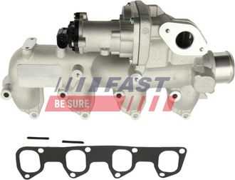 OEM V&aacute;lvula Egr Ft10060 R&aacute;pida