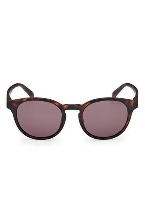 GANT Oval Sunglasses in Dark Havana /Brown at Nordstrom Rack