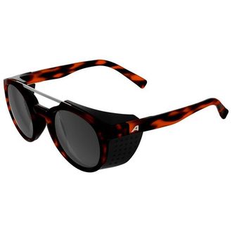 Alpina Glace S3 Gletscherbrille - Unisex | schwarz