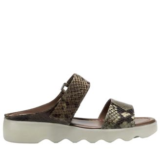 Aerosoles Willow Brown / Green Comb WILLOW-BRWNGRN Womens