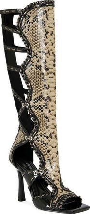 Azalea Wang Indrani Snake Gladiator Boot in Black at Nordstrom, Size 8.5