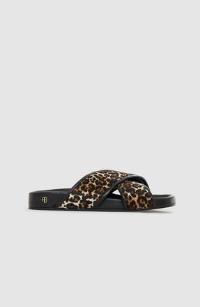 Anine Bing Emi Slides in Leopard Print at Nordstrom, Size 41