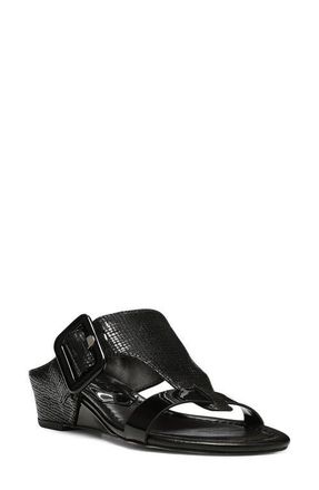 Donald J Pliner Ofelia Sandal in Black at Nordstrom, Size 5.5