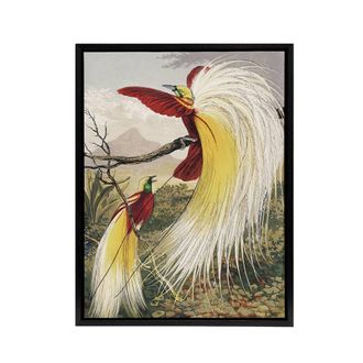 Artery8 Bird Paradise Exotic B. Fawcett Vintage Black Framed Canvas Wall Art | Size: W24 x H32