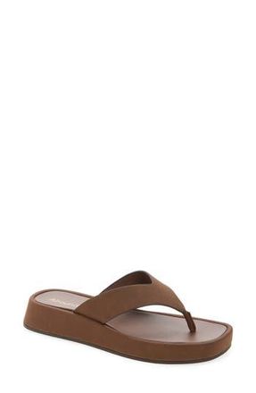 Abound Jovina Flip Flop in Brown Chocolate at Nordstrom Rack, Size 7.5
