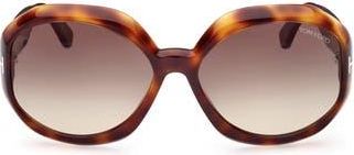Tom Ford Georgia-02 62mm Gradient Oversize Round Sunglasses in Dark Havana /Gradient Smoke at Nordstrom Rack