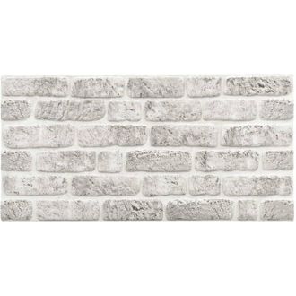 vidaXL Paneles De Pared 10 Pcs Gris Claro 100 X 50 Cm Espuma Eps Vidaxl