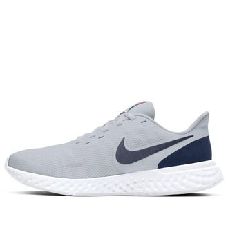Nike Revolution 5 Pure Platinum Thunder Blue BQ3204-018