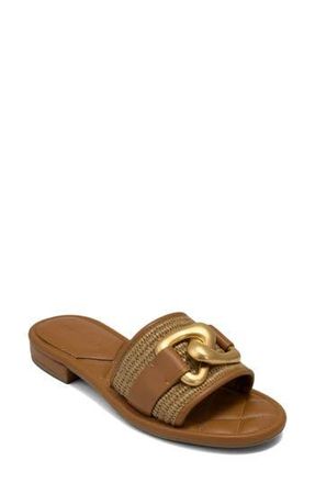 Aerosoles Big Charm Link Slide Sandal in Tan Basket Raffia at Nordstrom Rack, Size 8.5