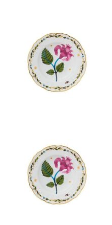 BITOSSI HOME Set of 2 Deep Plates Cm.23 Profumo