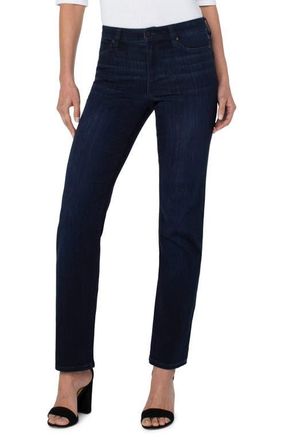 Liverpool L.A. Kennedy Straight Leg Jeans in Halifax at Nordstrom, Size 10