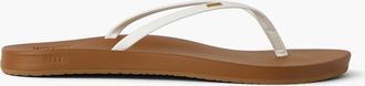 Reef Womens Cushion Slim In /Tan M