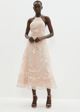 Coast Halterneck Midi Dress In Cutwork Lace