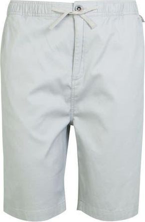 Regatta Aldan Chino Shorts in Silver Grey at Nordstrom, Size 42
