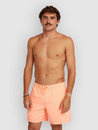 O'Neill Logo 16 Boardshorts oranje