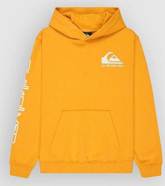 Quiksilver Omni Logo Kids Hoodie geel