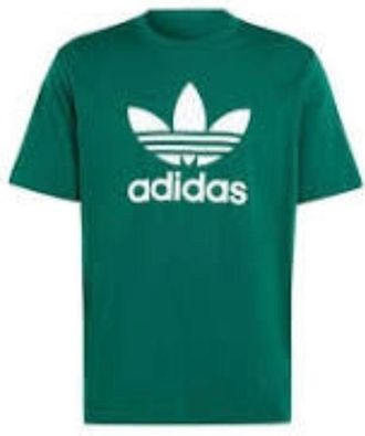 adidas Adicolor Trefoil T-Shirt Asia Sizing Green White IR7976